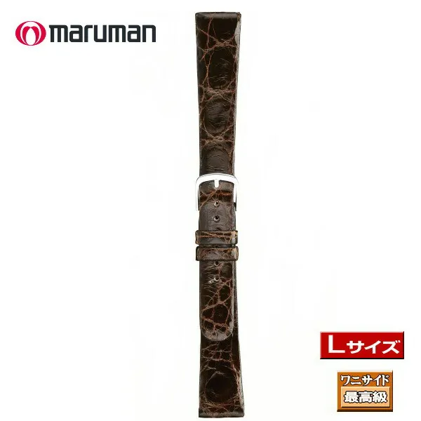 マルマン Ｌサイズ 寸長ベルト 時計ベルト 時計バンド 本ワニサイド 時計際幅 19mm 美錠幅 14mm 茶 バネ棒2本付き ネコポス便対応品