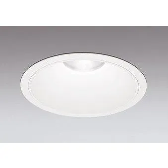 XD301125 オーデリック 屋内屋外兼用ダウンライト LED（昼白色）