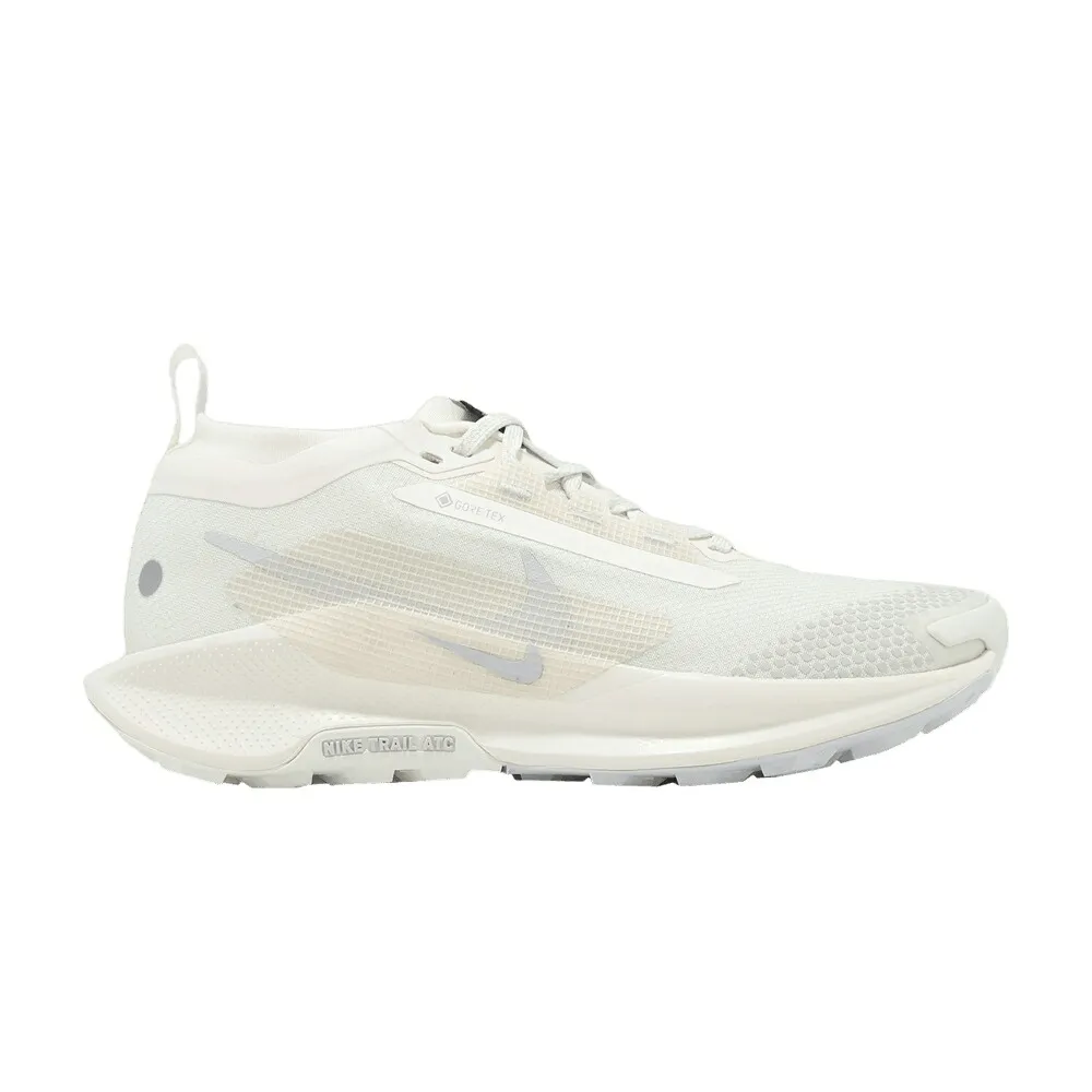 ナイキ ペガサス ゴアテックス AIL DUST スニーカー レディース NIKE WMNS PEGASUS TRAIL 5 GORE-TEX PHOTON / SAIL PHOTON DUST