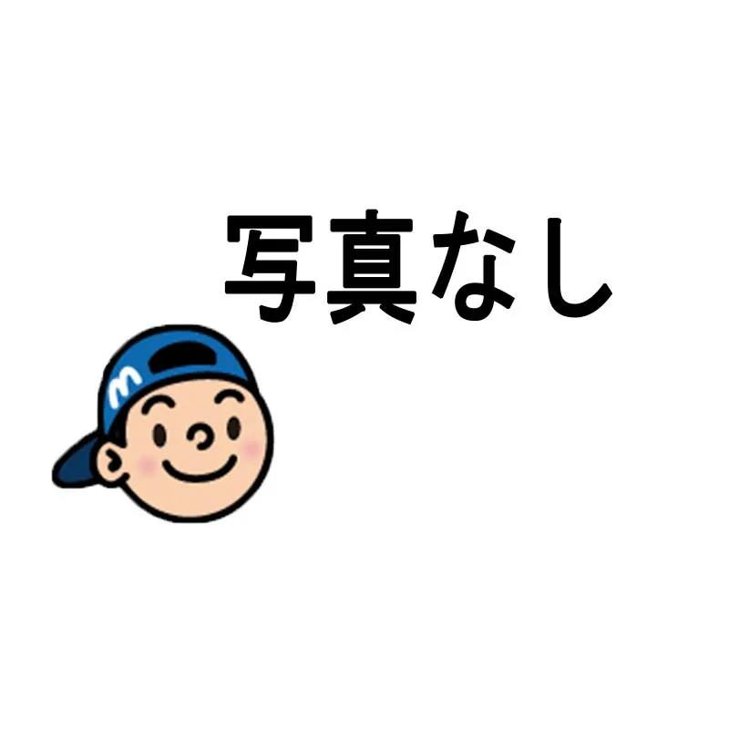 水性サーモアイウォールSi 全28色 ツヤあり 15kg(約44～54平米) 日本ペイント ニッペ 水性/シリコン/外壁/遮熱