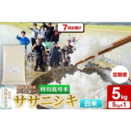 圧倒的人気 在庫あり MY158WHFT1N [MY158WHFT1N]