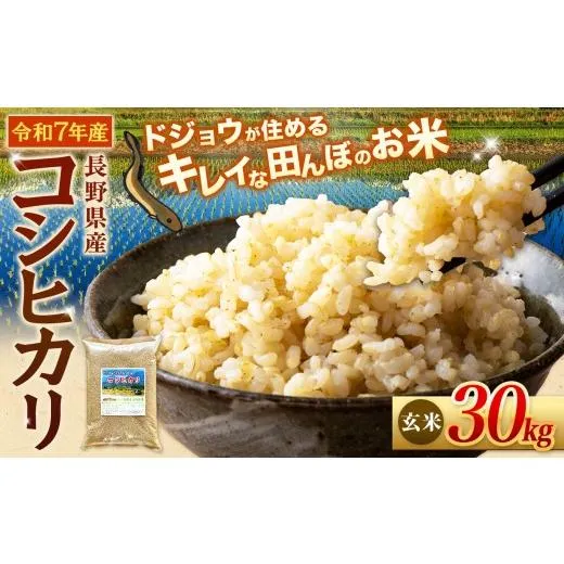 売れ筋 最短翌日お届け  【M7695MU4WIM】 限定デザイン