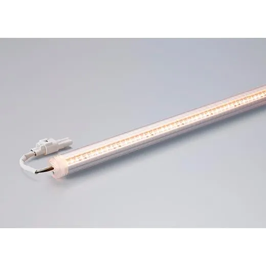 ＤＮライティング 軒下用LEDモジュール CLED2-WP 電源装置別売 透明パイプ IP64 本体寸法1031mm 電球色（2800K） CLED2-1031L28-WP ※受注生産品