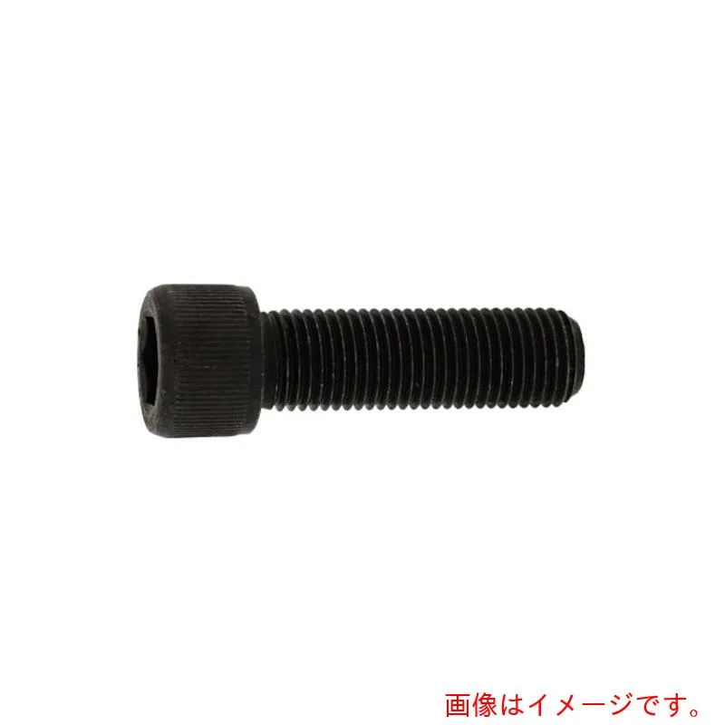 サンコーインダストリー（SUNCO） ステンＣＡＰ（ＵＮＦ７／１６－２０Ｘ２”（１０本入） 【品番：A0-02-0040-80358200-00】