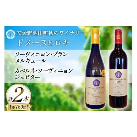 ふるさと納税 ワイン セット 長野県 池田町 ワイン メルキュール ジュピター 赤 白 飲み比べ 750ml 2本 ヴィニョブル安曇野 長野県 池田町 48110837 赤ワイン …