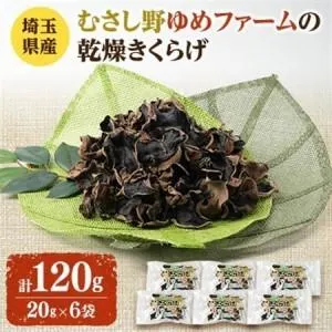圧倒的人気 あす楽対応 MGNMTICCVHY [MGNMTICCVHY]