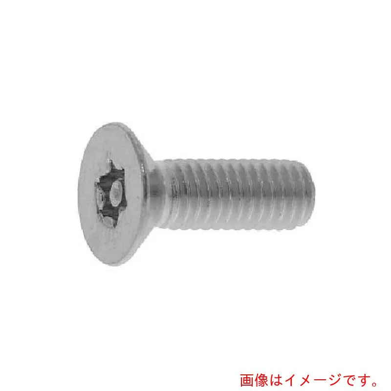 サンコーインダストリー（SUNCO） 三価ブラックＴＲＸタンパープルーフ サラ小ネジ（Ｔ２５） ５×１０ （１０００本入） 【品番：00-00-T101-00500100-04】
