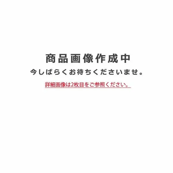 【関東限定販売】オーデリック「OB255329NDR」LEDブラケットライト／要工事