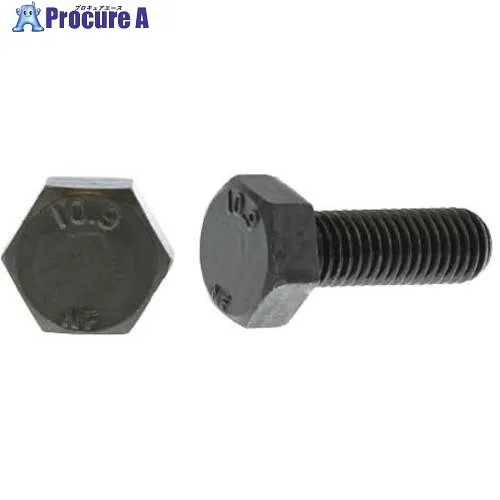 SUNCO クロメート 10.9 六角ボルト 日本ファスナー製 20X50 (30本入) B0-00-F400-0200-0500-02 1箱 ■▼255-1704 【送料都度見積】