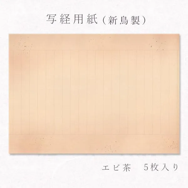 [圧倒的人気 ] MCWPW1J7QQG (MCWPW1J7QQG)