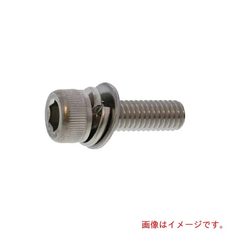 サンコーインダストリー（SUNCO） ニッケル １０．９ＣＡＰ Ｐ＝３ ６ Ｘ １０ （３００本入） 【品番：A0-00-9030-00600100-05】