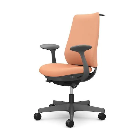 オカムラ ポータム固定肘背クッションスタンダードタイプダークグレーハンガー有ランバー無ナイロンキャスター CF24XA FKZ7 1点