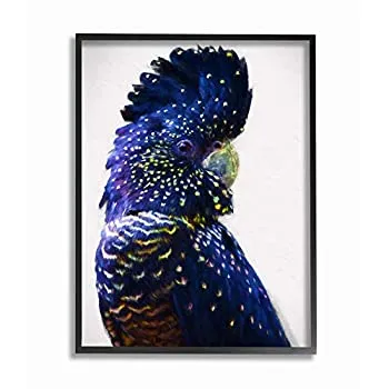 【中古】【輸入品・未使用】Stupell Industries トロピカルオウム 鳥羽 ブルー ゴールド ジャングルアニマル Urban Road Wall Artによるデザイン 16 x 20インチ ブラック フ