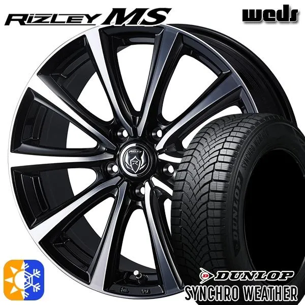 オールシーズンタイヤ ホイール4本セット 195/65R15インチ 5H100 ウェッズ ライツレー MS ダンロップ シンクロウェザー