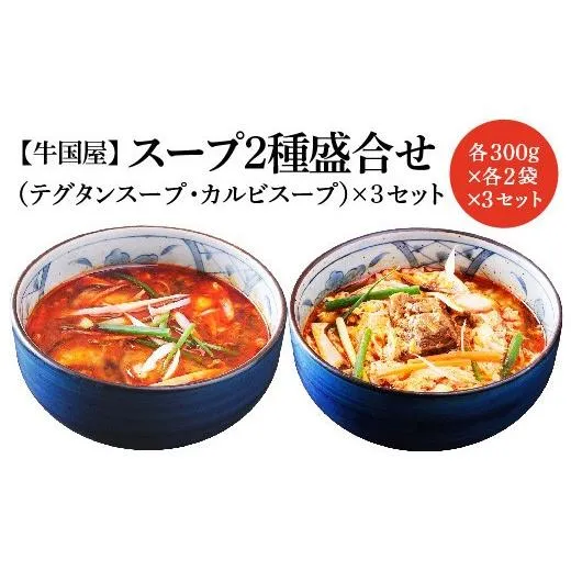 ふるさと納税 惣菜・レトルト 冷凍 埼玉県 さいたま市  牛国屋 スープ2種盛合せ（テグタンスープ、カルビスープ） 各300g×2袋×3セット 11100-0796