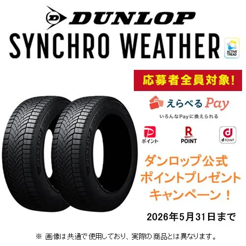 ダンロップ公式ポイント還元キャンペーン対象！ シンクロウェザー (2本) 295/35R21 107V XL 359891