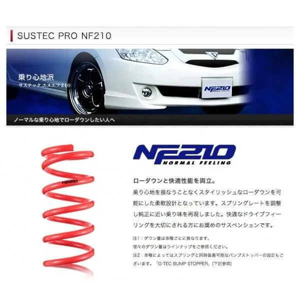 タナベ サスペンション(ノーマル形状) サステック SUSTEC NF210 XV GP7 FB20 2012年10月〜