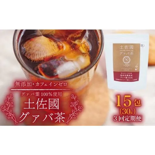 ふるさと納税 お茶類 高知県 南国市  3回定期便 土佐國グァバ茶 2g×15包 | お茶 飲料 茶 おちゃ 飲み物 グアバ 葉 国産 人気 おすすめ 食物繊維 高知県 南国…