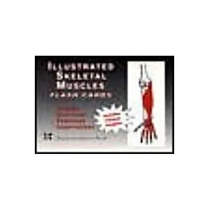 Illustrated Skeletal Muscle Flash Cards (Hardcover)