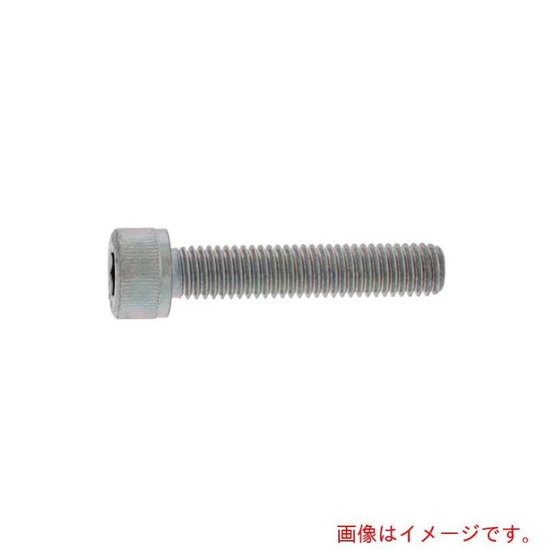 サンコーインダストリー（SUNCO） ユニクロ １０．９ＣＡＰ全ネジ ５×６０×６０ （２００本入） 【品番：A0-00-0010-00500600-01】