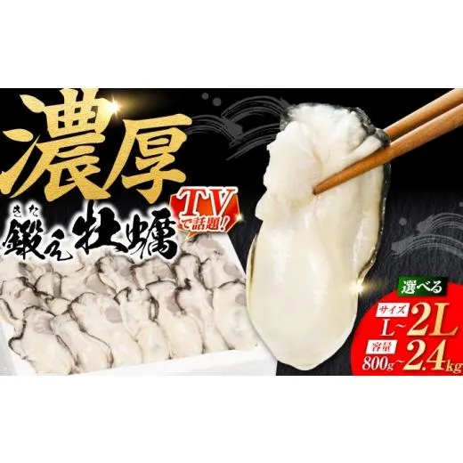 今季注目 あす楽対応  【MONJPV6B69E】 限定デザイン