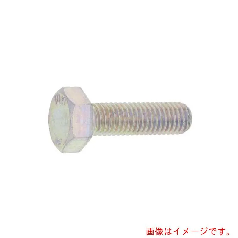 サンコーインダストリー（SUNCO） ユニクロ １０．９ 六角ボルト 全ネジ（日本ファスナー製 ２０Ｘ１３０ （１５本入） 【品番：B0-00-F450-02001300-01】