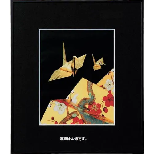 Kenko ( ケンコー・トキナー ) 1250118 アルミ額縁 画廊 A3ノビBKアクリル ( AGR-A3N-BK-AC ) 【メーカー取寄】