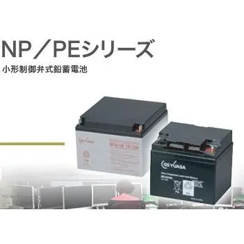 GSユアサ(GS YUASA) 小形制御弁式鉛蓄電池 NP2.3-12