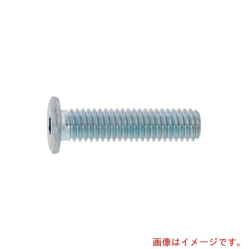 サンコーインダストリー（SUNCO） ユニクロ 極薄・ＮＳローヘッド ３×５ （１０００本入） 【品番：A0-00-L300-00300050-01】