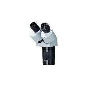 [売れ筋 ] MJV02GA6PZM (MJV02GA6PZM)