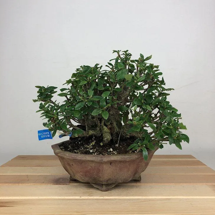 最短翌日お届け MKMAHSE3DWW 型番:MKMAHSE3DWW