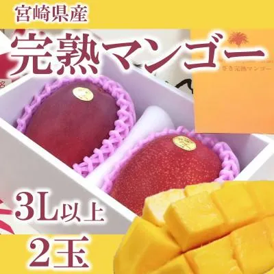 売れ筋 最短翌日お届け  【MPCLTPQJ32O】 限定デザイン