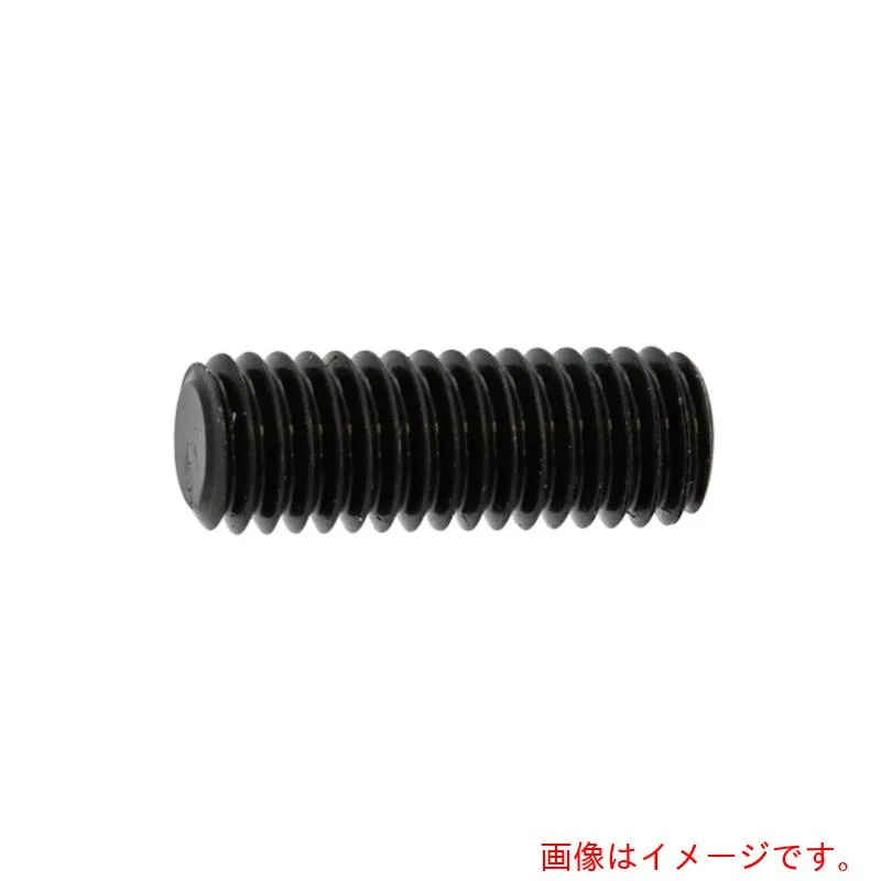 サンコーインダストリー（SUNCO） スズコバルト ＨＳ（平先 ６×６ （１０００本入） 【品番：A0-00-5010-00600060-20】