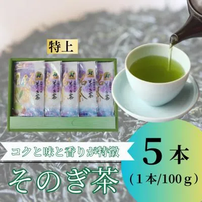 ふるさと納税 東彼杵町 【長崎県優良特産品推奨品】そのぎ茶 (特上) 100g×5袋入り