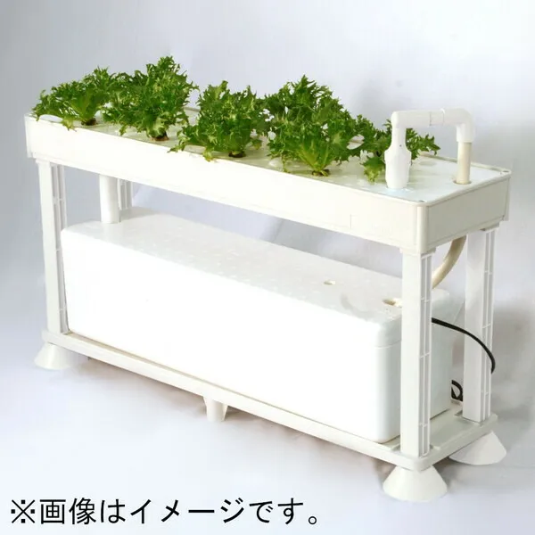 協和 ホームハイポニカ PLAABO KW-2057314