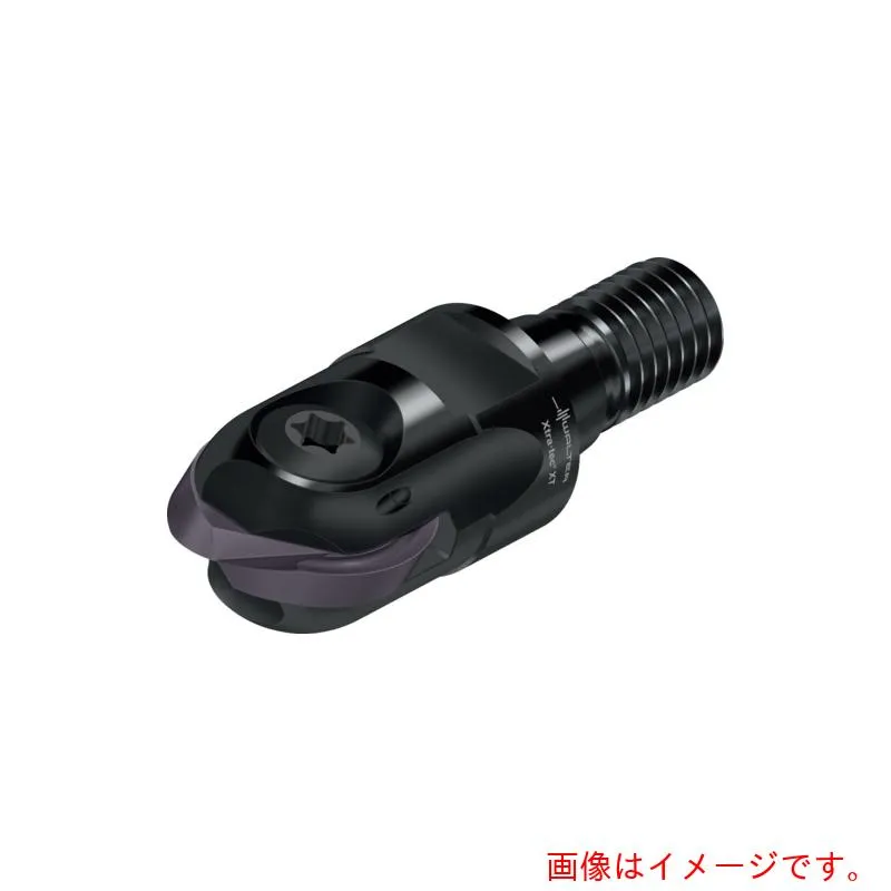 ワルタージャパン（WALTER） Ｗａｌｔｅｒ 倣い加工カッター Ｍ５４６０－Ｔ スクリューフィットタイプ ２枚刃 【品番：M5460-025-T22-02-12】