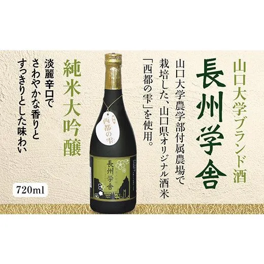 ふるさと納税 日本酒 純米大吟醸酒 山口県 山口市 D212 長州学舎 純米大吟醸
