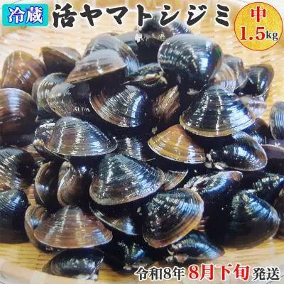 ふるさと納税 つがる市 十三湖産 冷蔵 活ヤマトシジミ 中 1.5kg [0562]