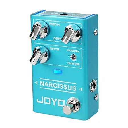 【並行輸入品】 JOYO Chorus Pedal Multiple Chorus Effects Semi-Analog Circuit From Surreal Deep Tone to Fierce and Vintage Distortion for Electric