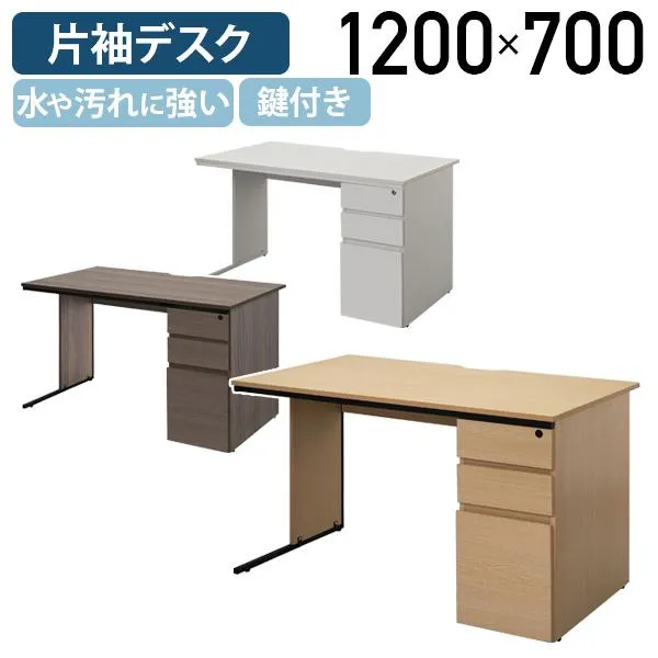 ワークデスクII 片袖タイプ W1200 D700 H700 机 アジャスター付き 水や汚れに強い 学習机 勉強机 PC机 シンプルデスク 代引不可 法人宛限定 RY-GZWC21270