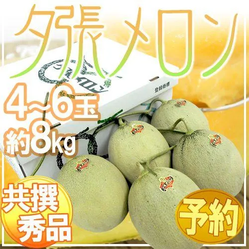 [売れ筋 ] M8K8X98TL44 (M8K8X98TL44)