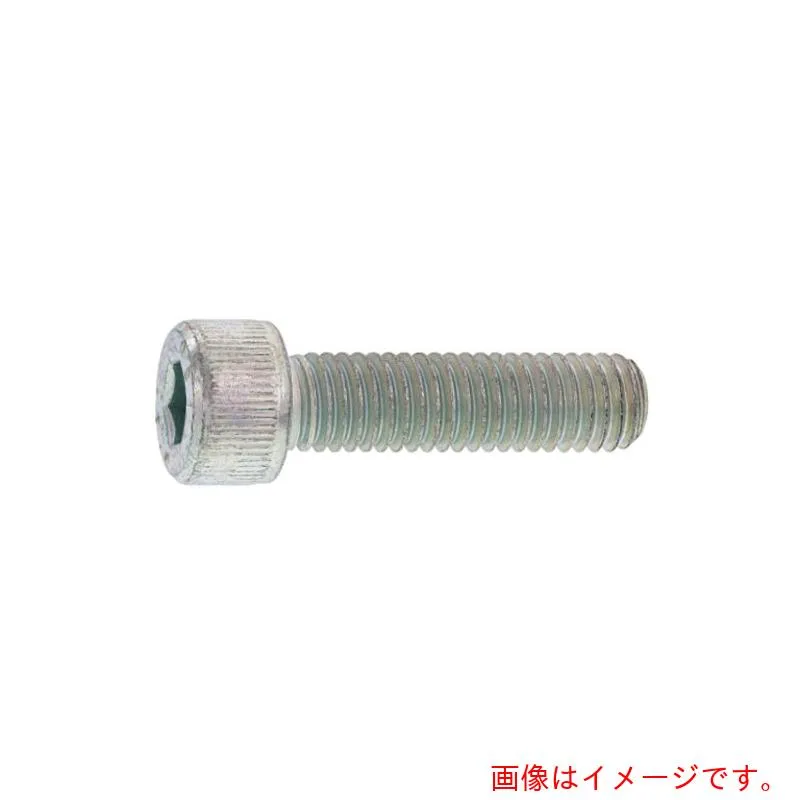 サンコーインダストリー（SUNCO） ステンＣＡＰ 日本鋲螺 １０ Ｘ ７０ （１００本入） 【品番：A0-02-000B-01000700-00】