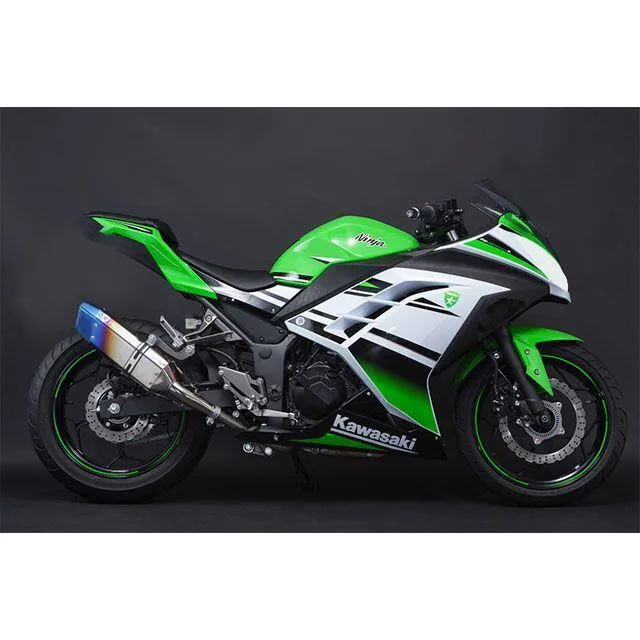 トリックスター Ninja250 レーシングスリップオンマフラー IKAZUCHI ショート TRICKSTAR