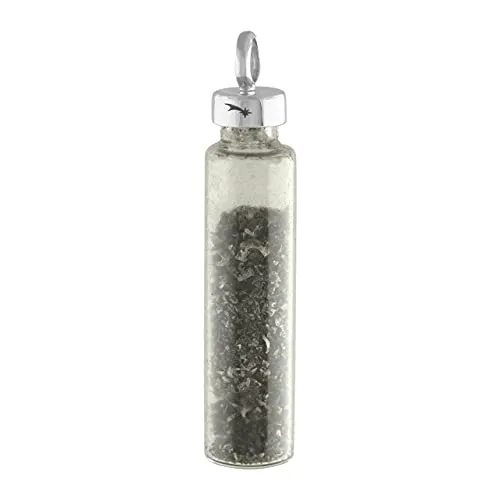 【中古】【未使用・未開封品】Starborn CreationsスターリングシルバーCampo de Cielo Meteorite Space Dustペンダント
