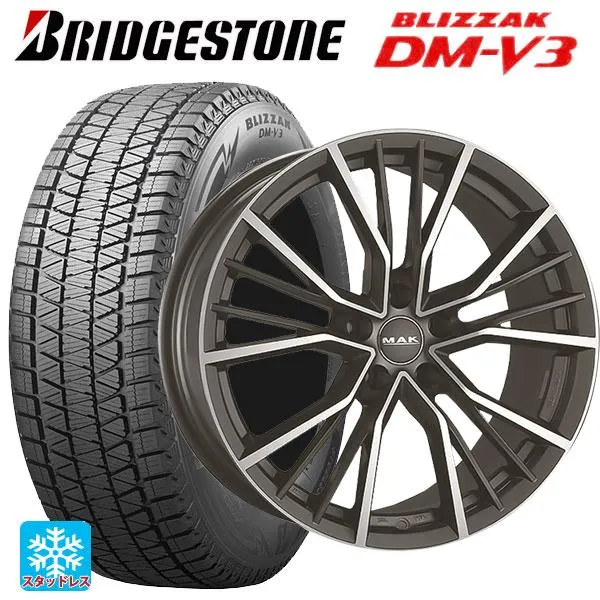 アウディ E-Tron(GEE)用 255/50R20 109Q XL ブリヂストン ブリザック DMV3 正規品 # マック ユニオン