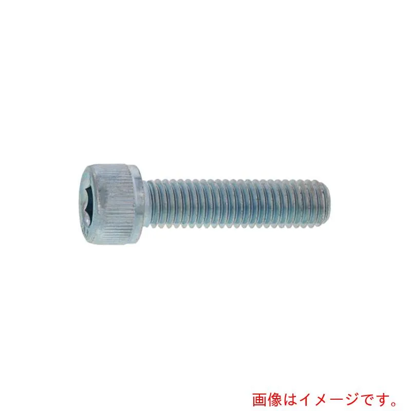 サンコーインダストリー（SUNCO） クロ－ム ＣＡＰ（半 ５×６０ （２００本入） 【品番：A0-00-0000-00500600-06】