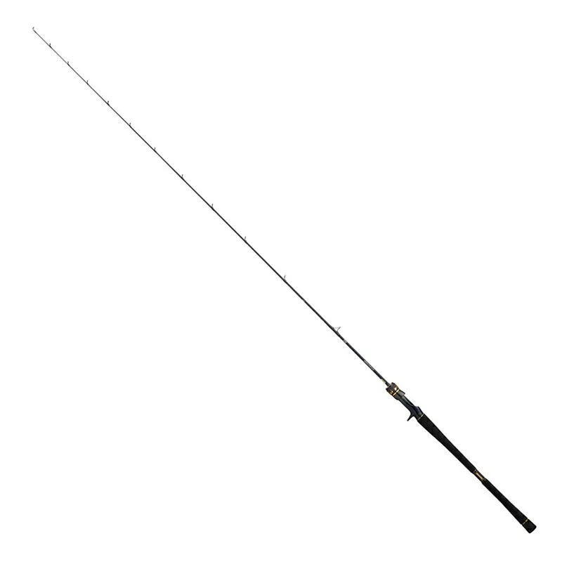ダイワ(Daiwa) SALTIGA(ソルティガ) LJ EX 61XXHB TG(ベイト・ワンピース) 61XXHB TG 05805884