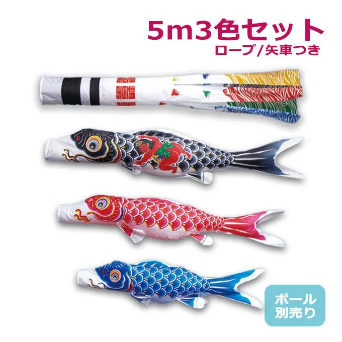 2026年度 新作 日本製 【金太郎付き】 こいのぼり ワタナベ 鯉のぼり 大型セット かなめ 浪千鳥/飛龍吹流し 5m6点セット 鯉3色 ポール別売 庭 家紋/名入れ可能