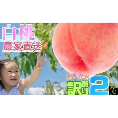 売れ筋 【即日発送】 M6V28C8E63N 型番:M6V28C8E63N