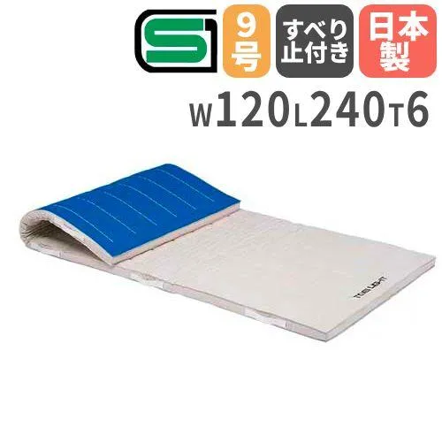法人限定 体操マット 6cm厚 9号帆布 すべり止め付き 120×240×6cm 合成スポンジマット 体育マット エバーマット トーエイライト SGマーク付き T2692 T-2692